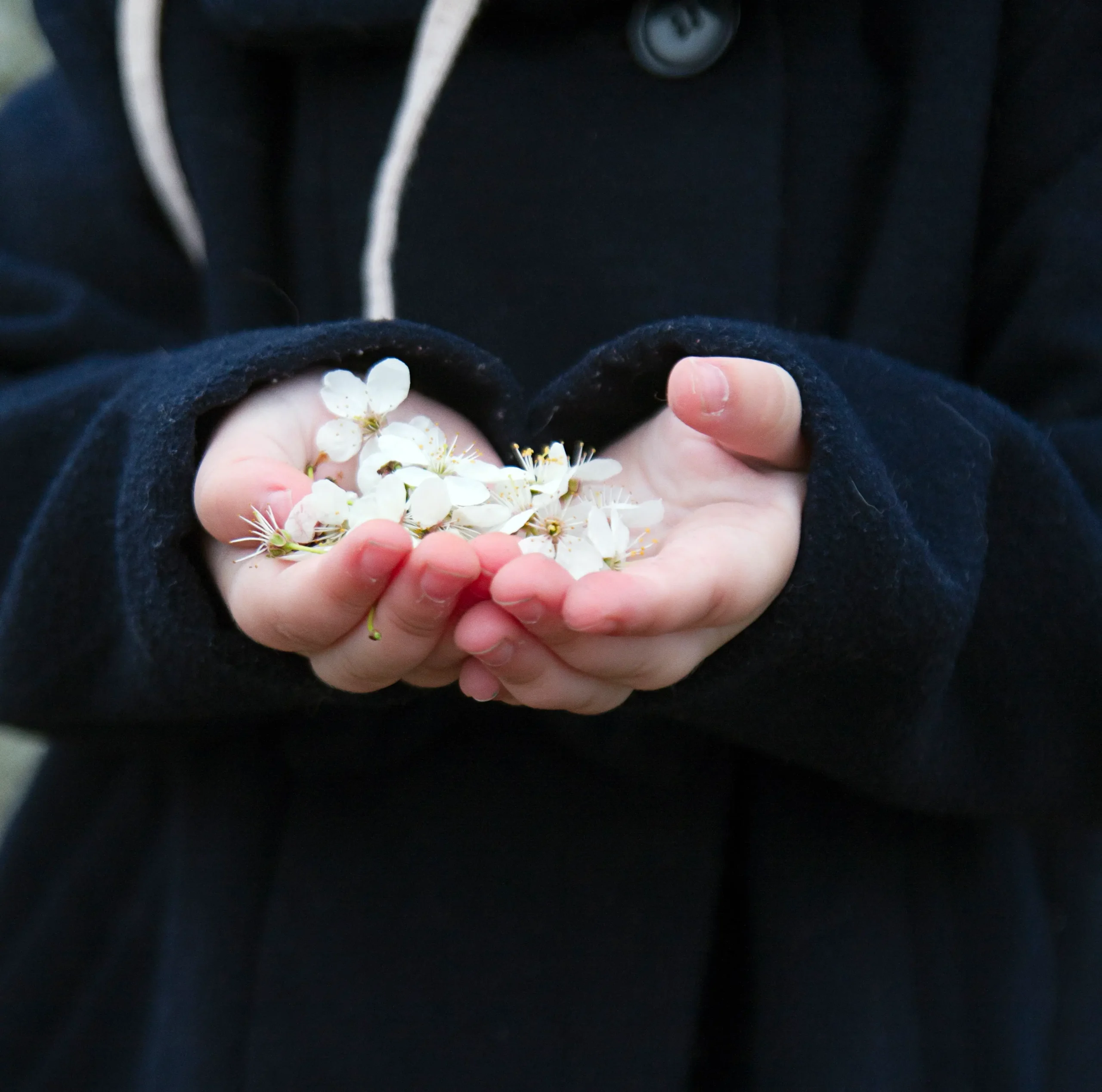 Custodia compartida niño con flores en las manos, símbolo del interés del menor